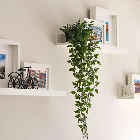 A&r Bolhao * Порту