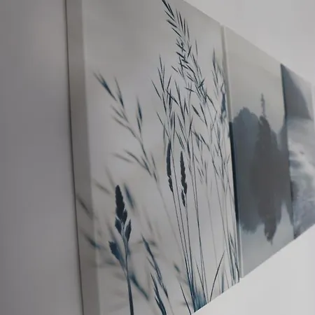 A&r Bolhao Apartman Porto